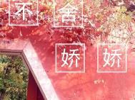 不舍得你走